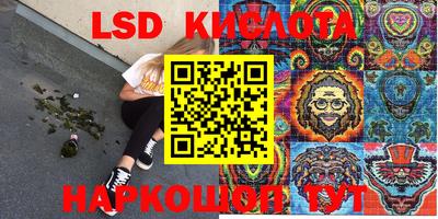 крисы Новодвинск