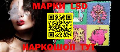 крисы Новодвинск