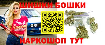 крисы Новодвинск