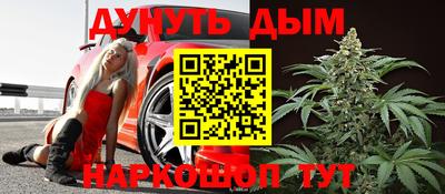 крисы Новодвинск