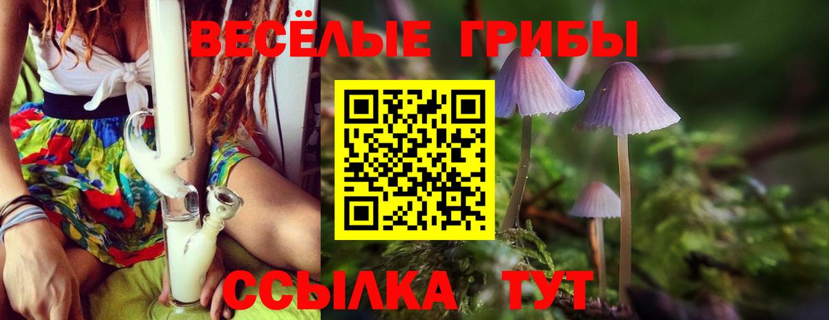 Туапсе  Псилоцибиновые грибы мицелий  Псилоцибиновые грибы ЛСД  Вход с VPN 